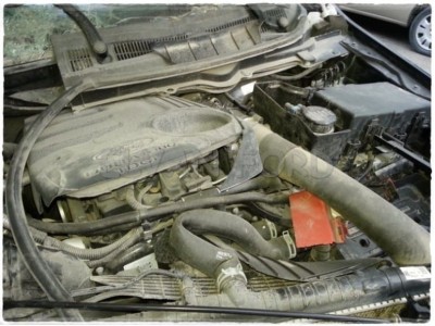Ranger Çıkma Motor